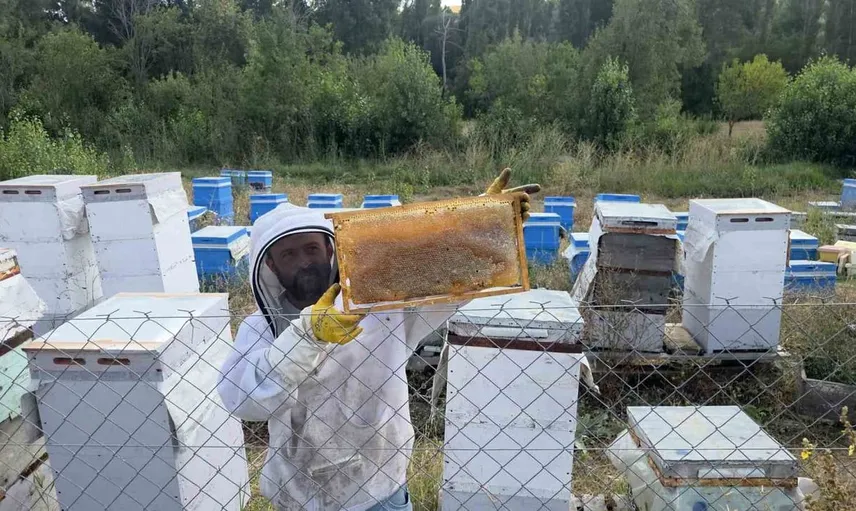 Osman Özbek’in arıcılık serüveni: Hobiyle başlayan yolculuk 250 kova ile devam ediyor
