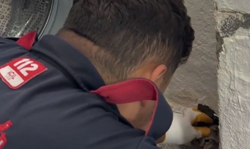 Osmaniye'de yavru kedi itfaiyenin müdahalesiyle kurtarıldı