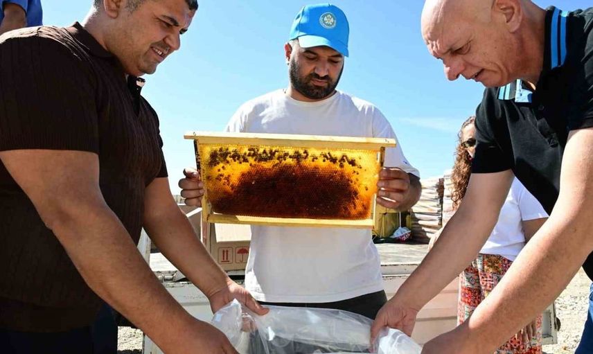 Manisa'da arıcıların petekleri eksi 30 derecede korunuyor