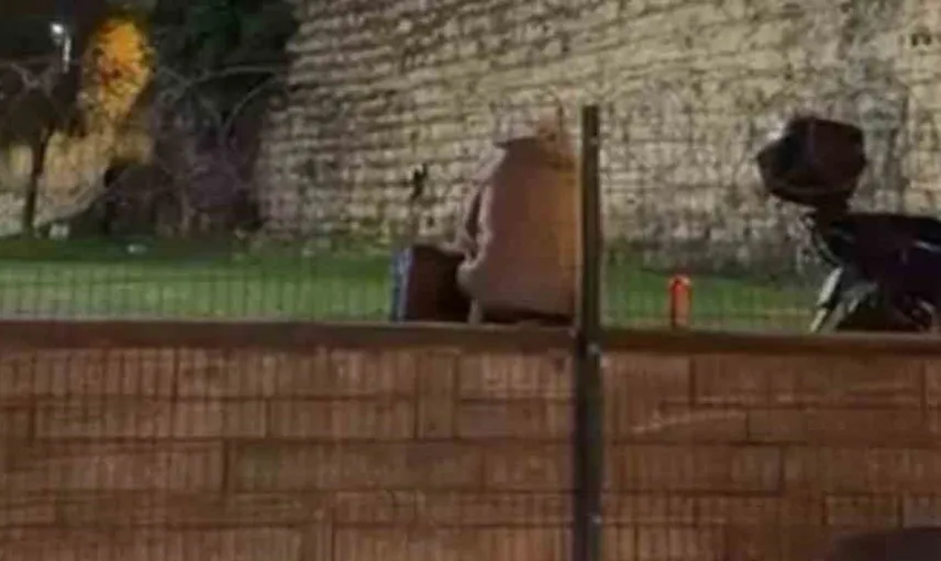 Fatih'te polis ekiplerinden dron destekli alkol denetimi
