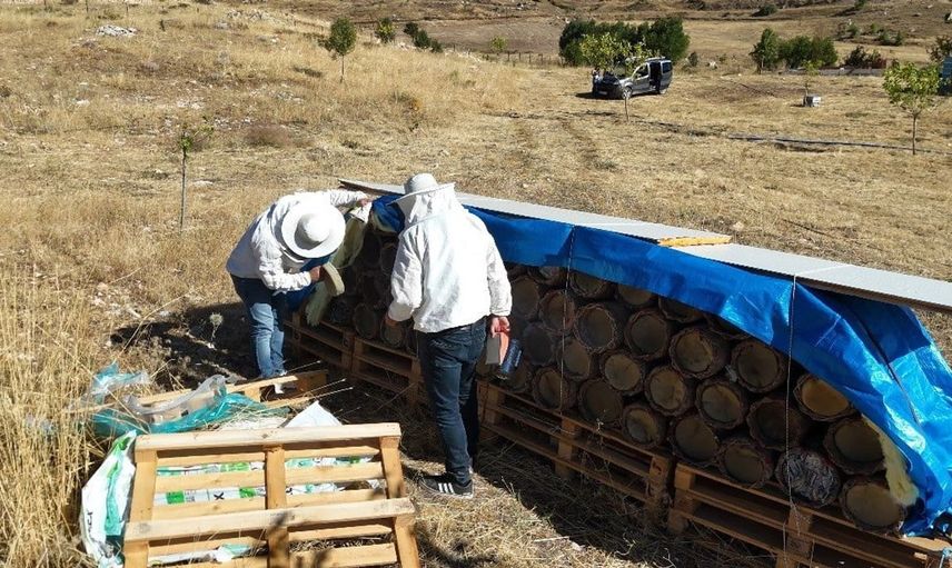 Tunceli'de yüzyıllık arıcılık geleneği nesilden nesile aktarılıyor