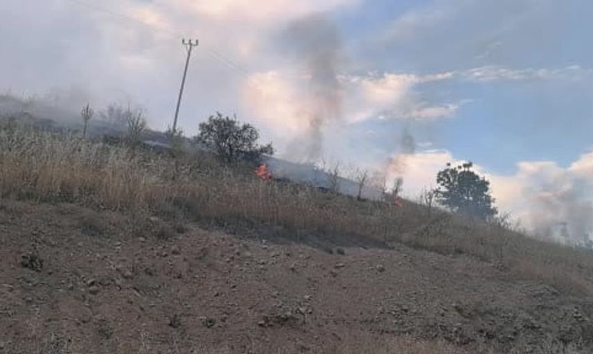 Malatya'nın Doğanşehir ilçesinde orman yangını kontrol altına alındı