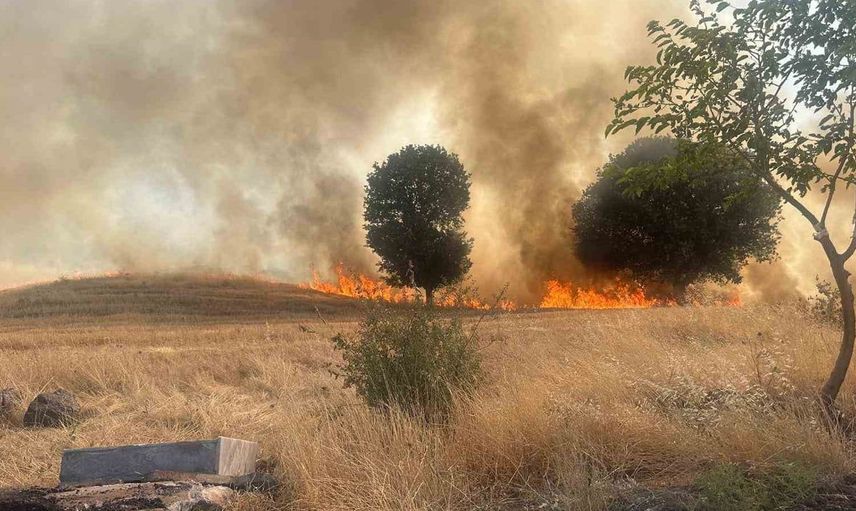 Trafo patlaması sonucunda ağaçlık alan yandı