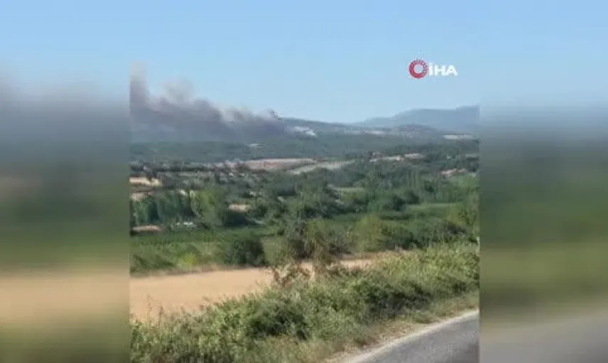 Bayramiç'te çıkan orman yangınına müdahale sürüyor