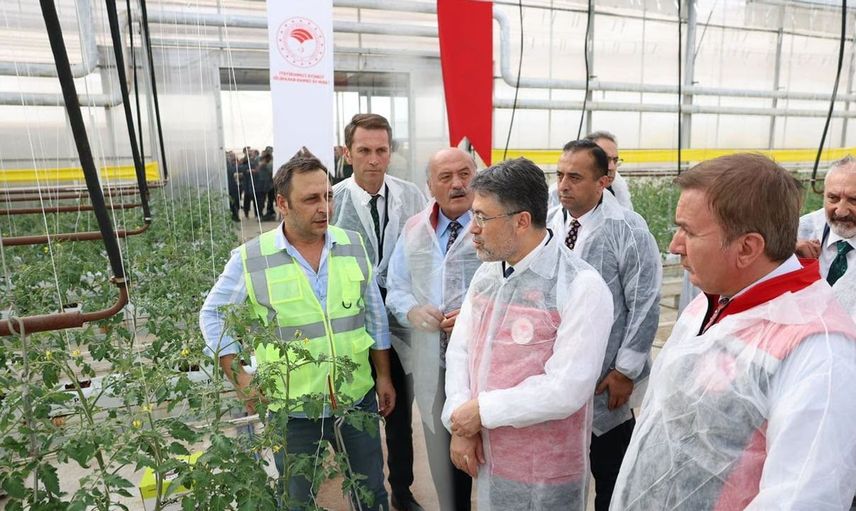 Tarım bakanı yumaklı, erzincan'daki jeotermal sera alanında incelemelerde bulundu