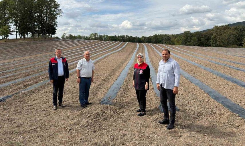 Gümüşova’da yaban mersini ve aronya üretimi için yeni yatırımlar