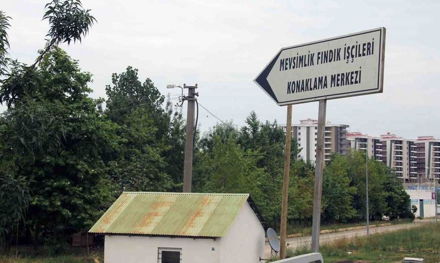 Giresun’da mevsimlik tarım işçilerinin çocuklarına eğitim ve sosyal etkinlik desteği