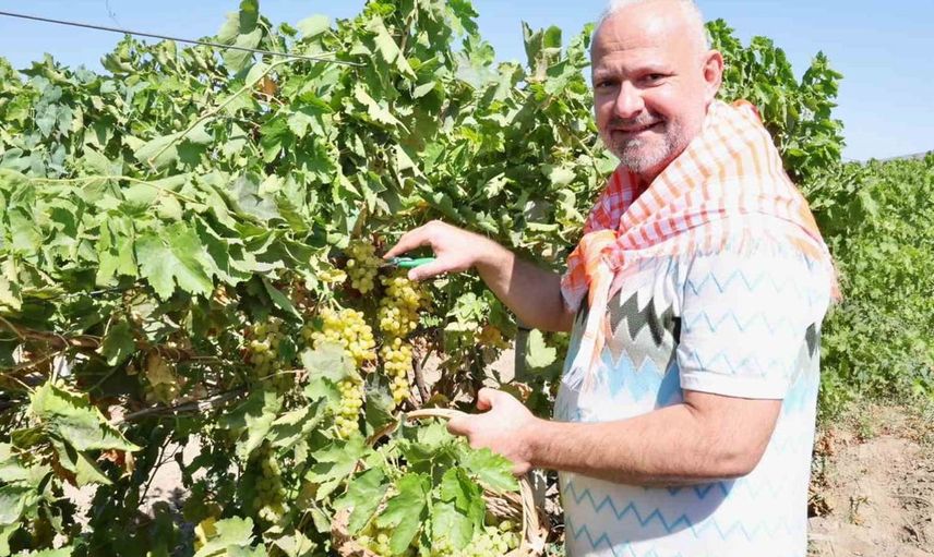 Menemen'de bağ bozumu festivali oldukça coşkulu geçerken hasat bereketi paylaşıldı