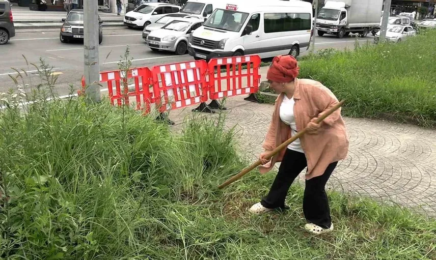 Rize'de kendi geçimini sağlamak için yeşil alanlardaki otları biçiyor