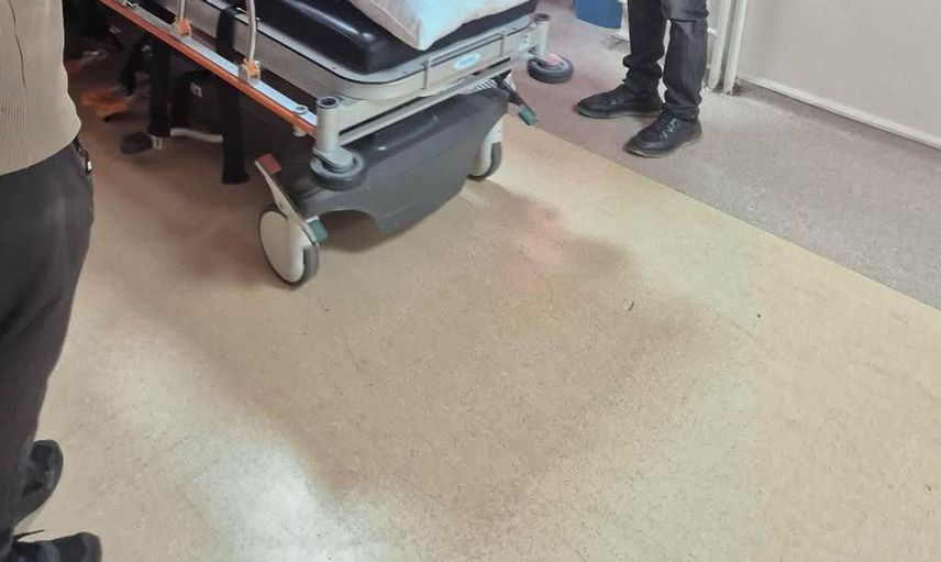 Ayının saldırısına uğrayan çoban, köpeklerinin yardımıyla kurtuldu