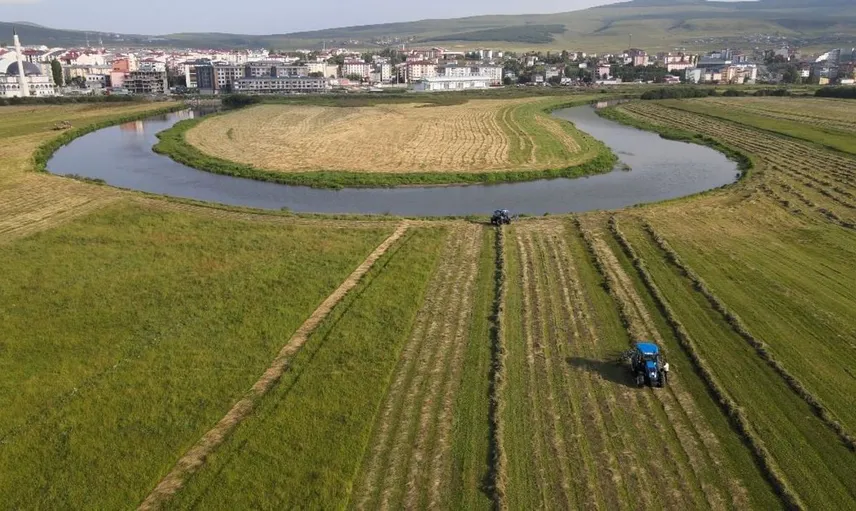 Ardahan'da hasat dönemi hareketliliği gökyüzünden görüntülendi