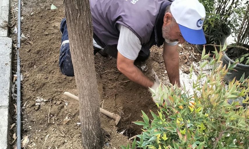 Şehzadeler Belediyesi park bakım seferberliği sürdürüyor