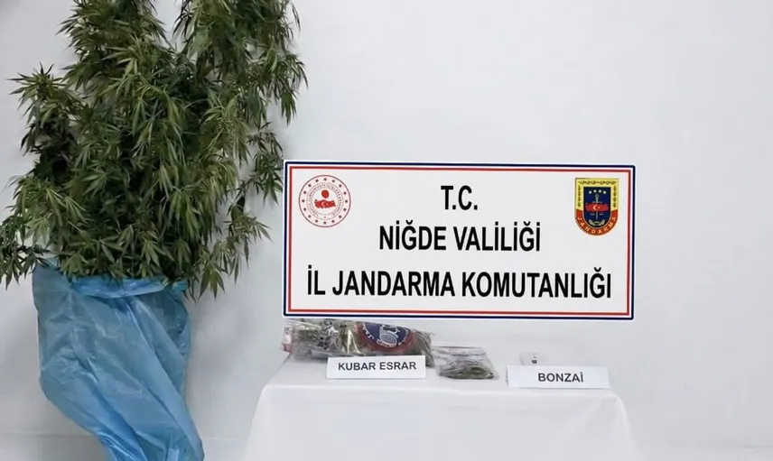 Niğde'nin Bor ilçesinde gerçekleştirilen uyuşturucu operasyonunda önemli ele geçirmeler