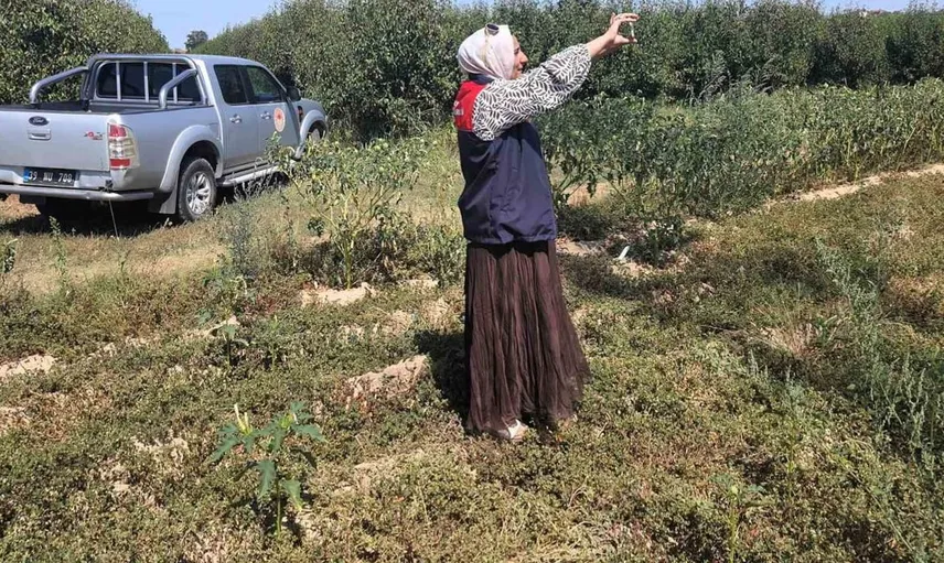Babaeski'deki tarım arazileri için saha çalışmaları sürüyor