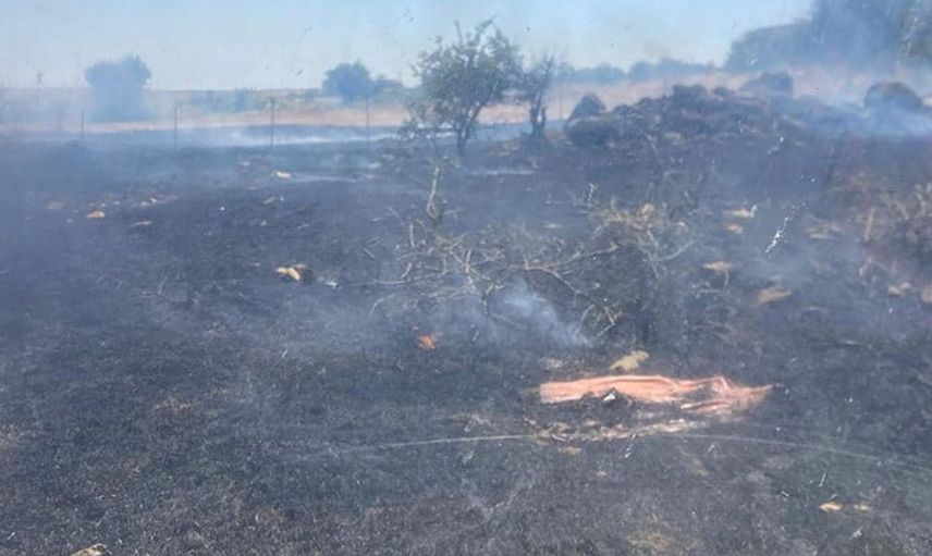 Bandırma'da otluk alanda yangın paniği yaşandı