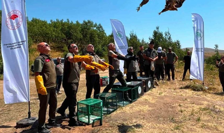 Nemrut kalderası milli parkında yaban hayvanı salımına devam