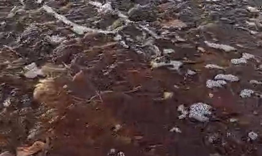 Yalova'da denize dökülen kırmızı su, vatandaşları endişelendirdi