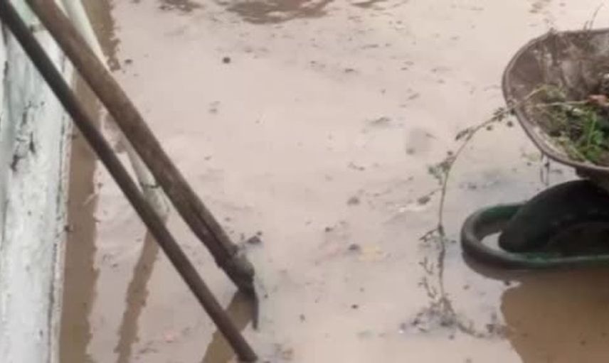 Mudanya'da etkili sağanak yağış sonrası yaşam alanları sular altında kaldı