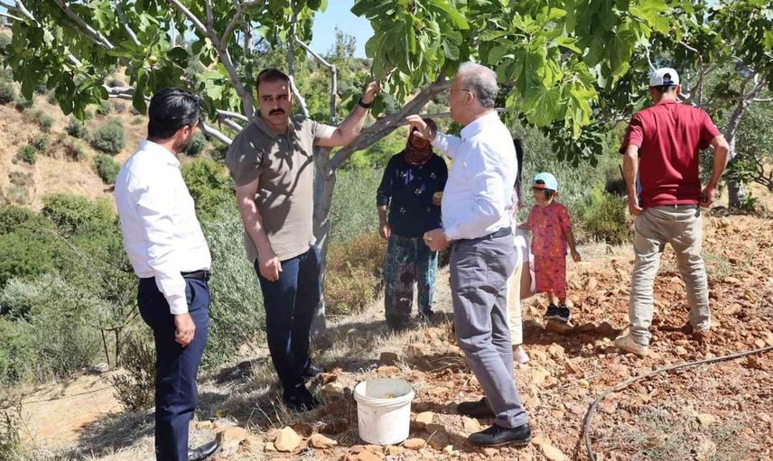 Karacasu'da incir hasadı zamanında üreticilerle bir araya geldi