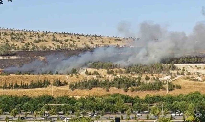 Şanlıurfa'da ormanlık alanda yangın kontrol altına alındı
