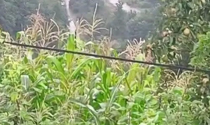 Giresun'da sel felaketi: Bir anne ve iki kızı kayboldu