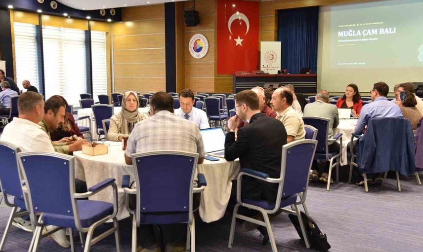 Muğla çam balı çalıştayında sektör sorunları masaya yatırıldı