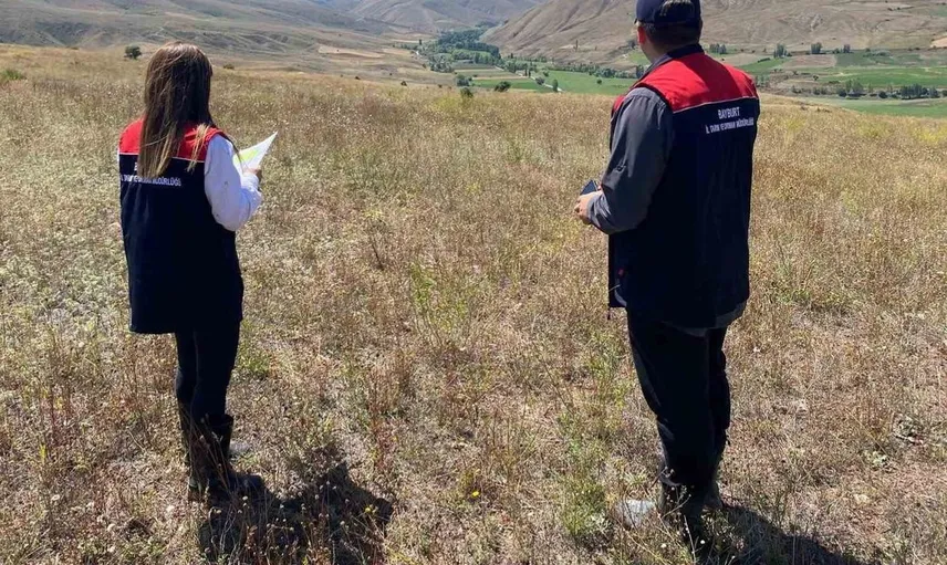 Bayburt'ta işlenmeyen tarım arazileri için tespit çalışmaları sürüyor