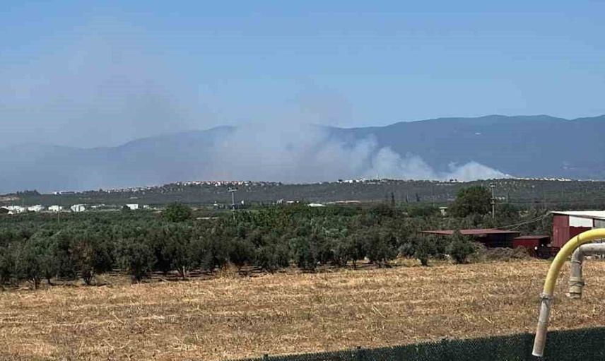 Gömeç'te orman yangınına havadan ve karadan müdahale ediliyor