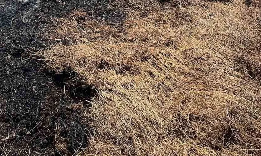 Bozüyük'te otluk yangını kontrol altına alındı