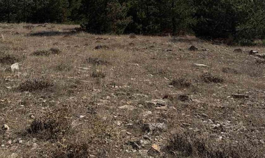 Tepebaşı'ndaki orman yangını kısa sürede kontrol altına alındı