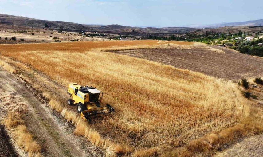 Kocasinan Belediyesi'nden tarımsal üretim ve sosyal dayanışma örneği
