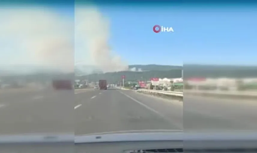Bilecik'te çöplükte başlayan yangın ormanlık alana sıçradı