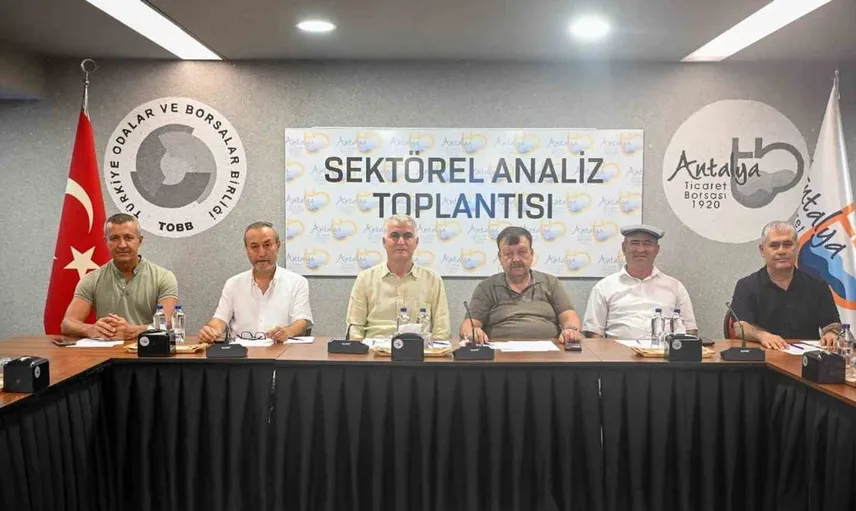 Zeytin rekoltesinde beklentiler umut verici: Bu yıl yüzde 40 artış öngörülüyor