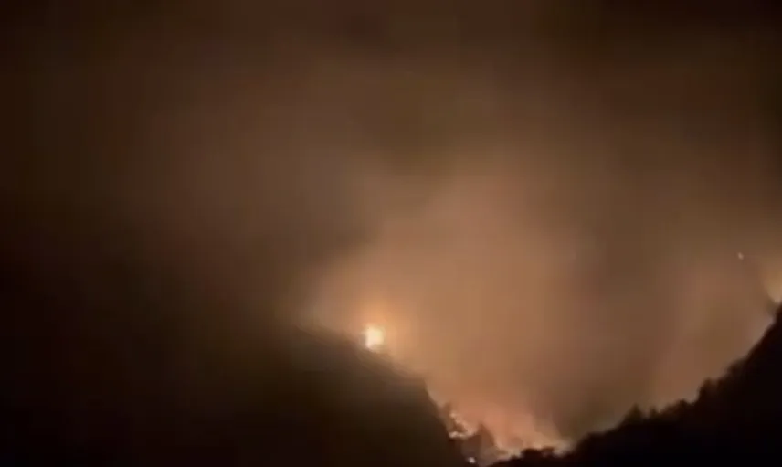Karaisalı'da orman yangını: Ekipler müdahaleye devam ediyor