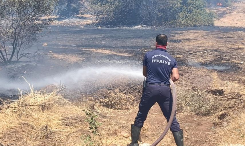 Didim'de makilik alanda çıkan yangın kontrol altına alındı
