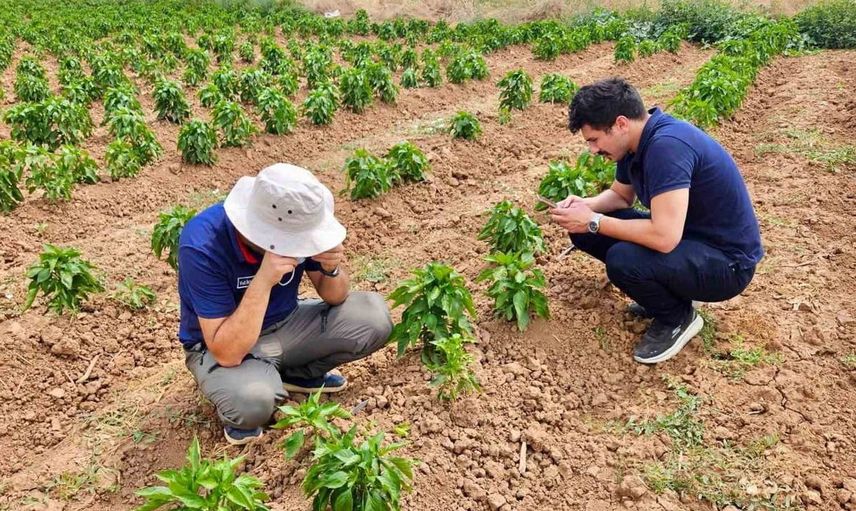 Başmakçı’da sebze ekili alanlar kontrol edildi