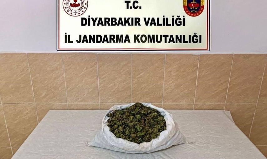 Diyarbakır'da uyuşturucu operasyonu: 253 bin kök kenevir ve 42 kilo esrar yakalandı