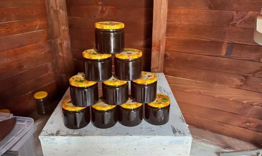 Sinop’ta dibekli bal ormanı ilk hasadını gerçekleştirdi