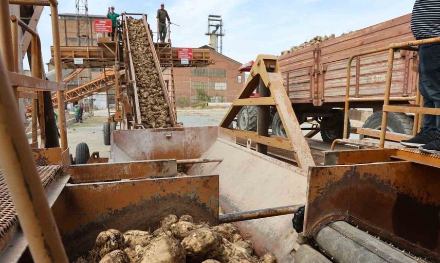 Elazığ şeker fabrikasında yeni dönem başladı: 240 bin ton pancar işlenecek