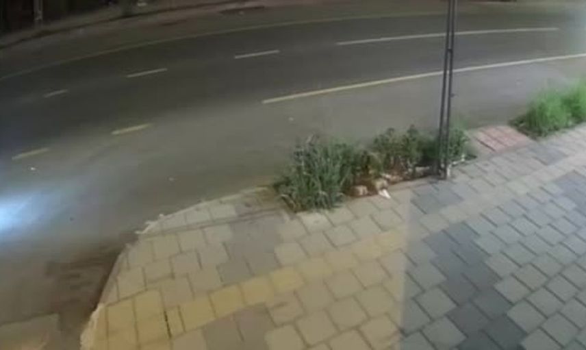 Mersin'de Yeni Parti'ye ve iş yerlerine kurşun atan çeteye operasyon: 4 tutuklama