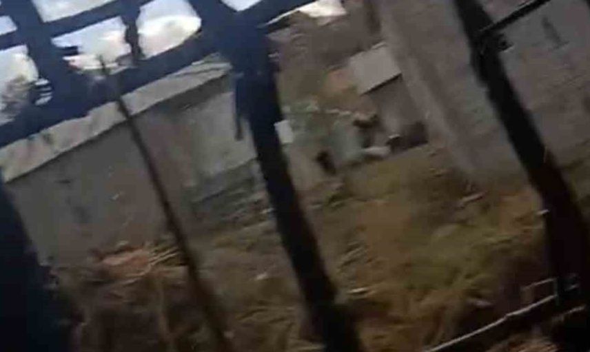 Yüksekova'da yangın paniği: Odunluk tamamen yandı