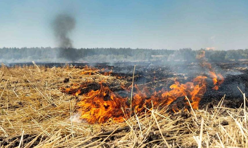 Fırat EDAŞ, anız yakmanın zararlarını hatırlatıyor