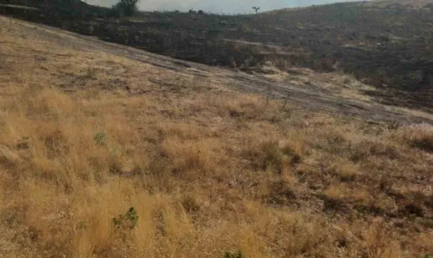 Afyonkarahisar'da kamyon yangını kuru otları da harladı