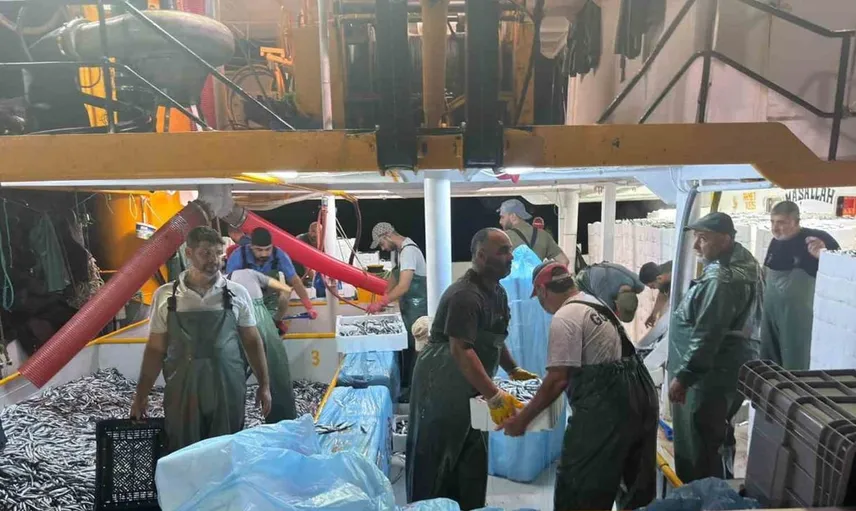 Didim'de hamsi avı kota denetimleri devam ediyor