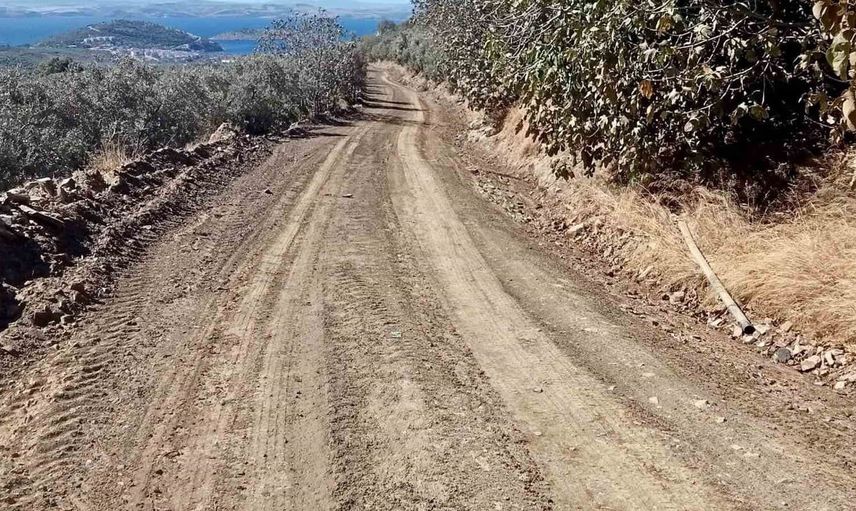 Erdek'te zeytin hasadı öncesi bahçe yollarında önemli düzenleme çalışmaları