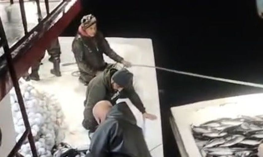 Palamut avında büyük sürpriz: 5 bin balık tekneye sığmadı