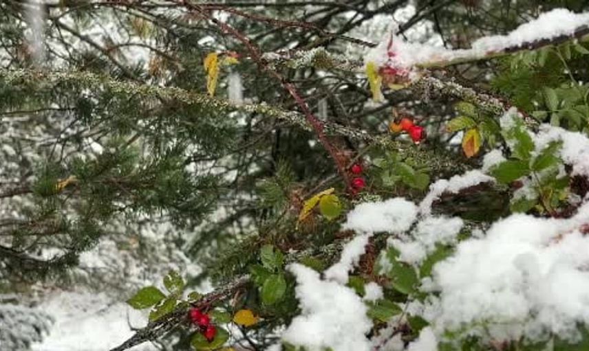 Bolu’da kış manzarası: Kartalkaya ve yaylalar karla kaplandı