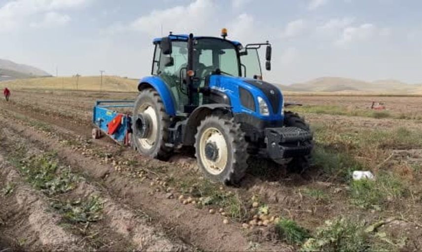 Patnos'ta patates hasadı hızla devam ediyor: Cips fabrikalarına doğru yol alıyor
