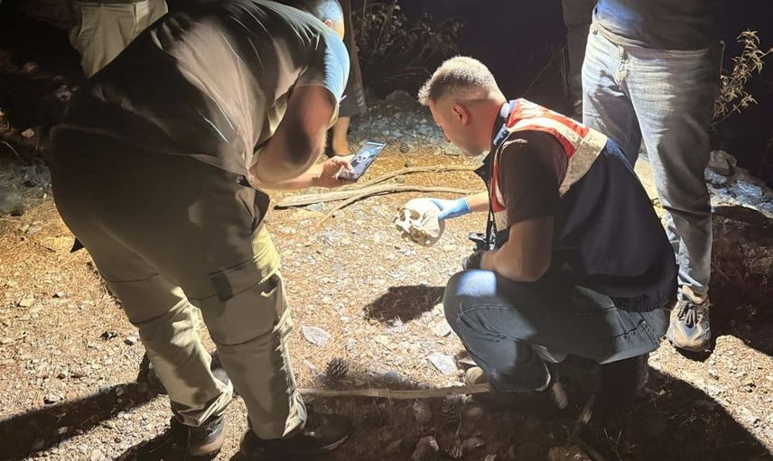 Gazipaşa'da ormanda kafatası bulundu: Olayın detayları merak ediliyor