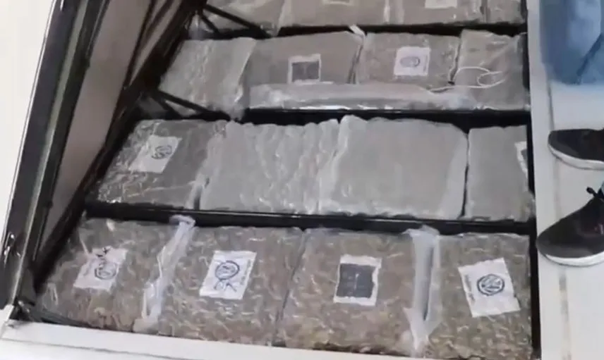 Gümrük ekiplerinden uyuşturucu operasyonu: 387 kilo skunk ele geçirildi